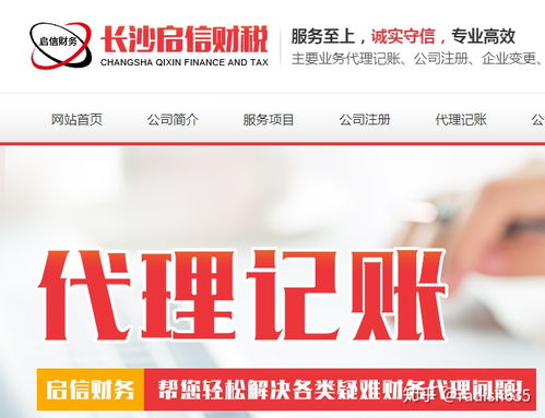 代理記賬服務(wù) 專業(yè)代辦，企業(yè)財(cái)務(wù)無(wú)憂
